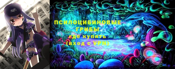 индика Абдулино