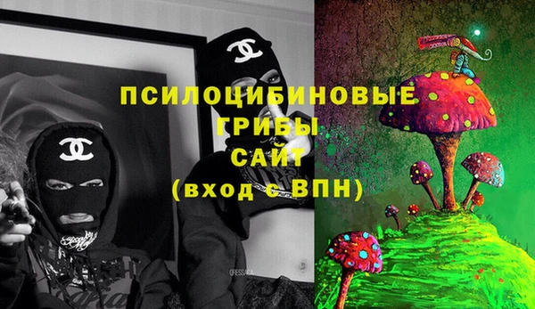 МДПВ Абаза