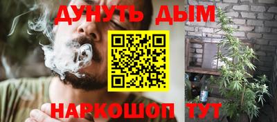 тгк Обь