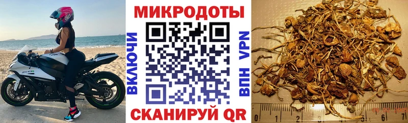 наркота  Советск  Галлюциногенные грибы прущие грибы 